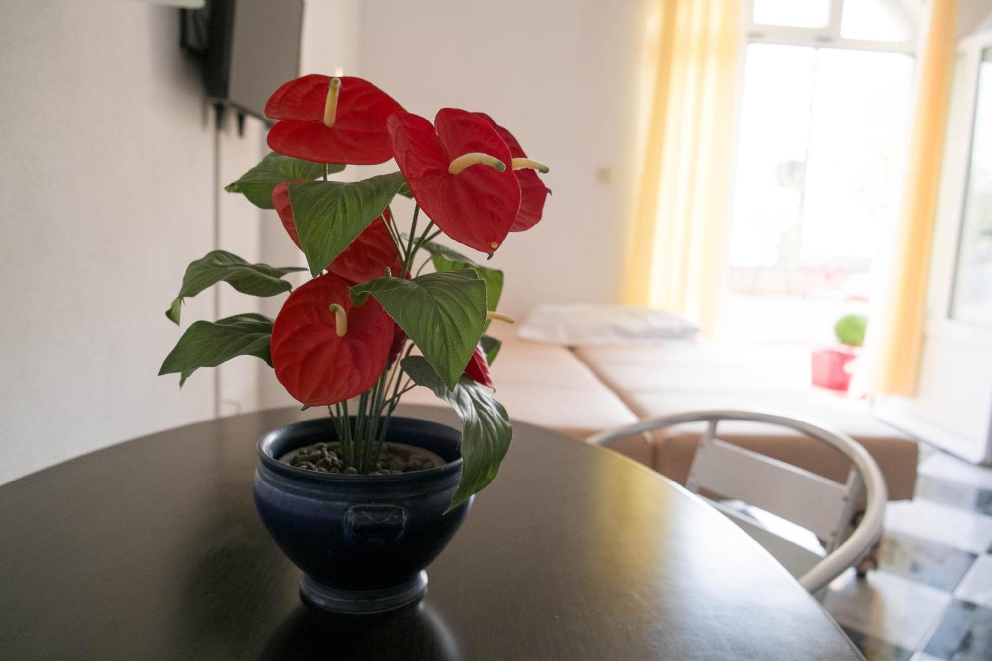 Apartments Damjanovic マカルスカ 部屋 写真
